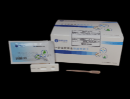 猪瘟抗体检测卡