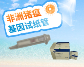 非瘟基因检测新产品