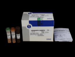 猪链球菌II型荧光PCR检测试剂盒