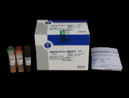 禽流感病毒 H7 亚型荧光 PCR 扩增试剂盒