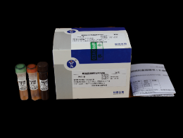 禽流感病毒通用型荧光RT-PCR检测试剂盒