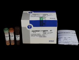 新城疫病毒荧光RT-PCR检测试剂盒