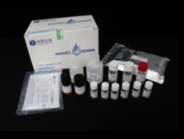 莱克多巴胺酶联免疫试剂盒