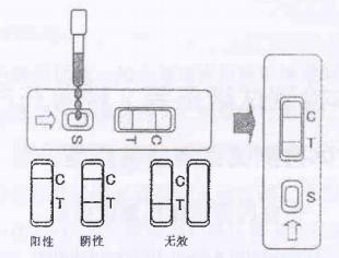 布鲁氏菌抗体检测试纸条(图1)
