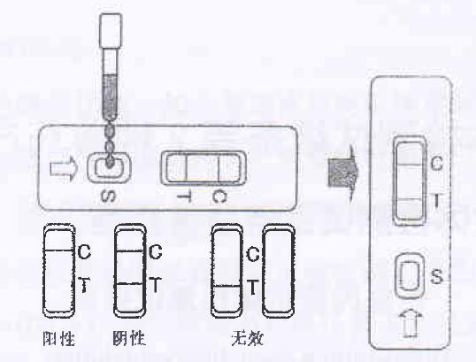 布鲁氏菌抗体检测试纸条(图1) 布鲁氏菌抗体检测试纸条(图1)